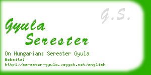 gyula serester business card